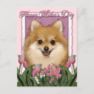 Carte Postale Fête des mères - Tulipes roses - Poméranie
