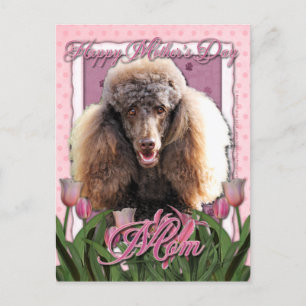 Carte Postale Fête des mères - Tulipes roses - Poodle - Chocolat