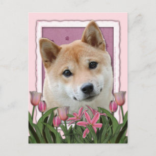 Carte Postale Fête des mères - Tulipes roses - Shiba Inu