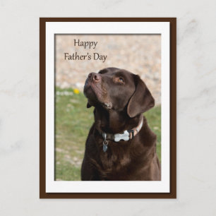 Carte Postale Fête des pères Chocolat Brown Labrador Chien