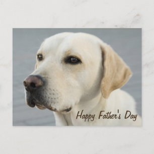 Carte Postale Fête des pères photo Golden Labrador Retriever