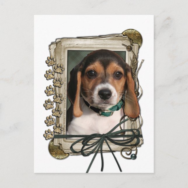 Carte Postale Fête des Pères - Stone Paws - Chiot Beagle (Devant)