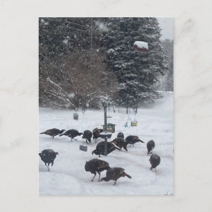 Carte Postale Fête d'hiver PC rassemblement réunion rencontre am