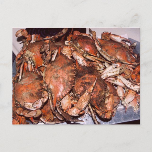 Carte Postale Fête du crabe (Devant)