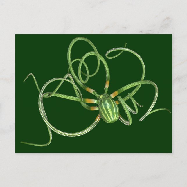 Carte Postale Fête nationale de la pastèque (Devant)