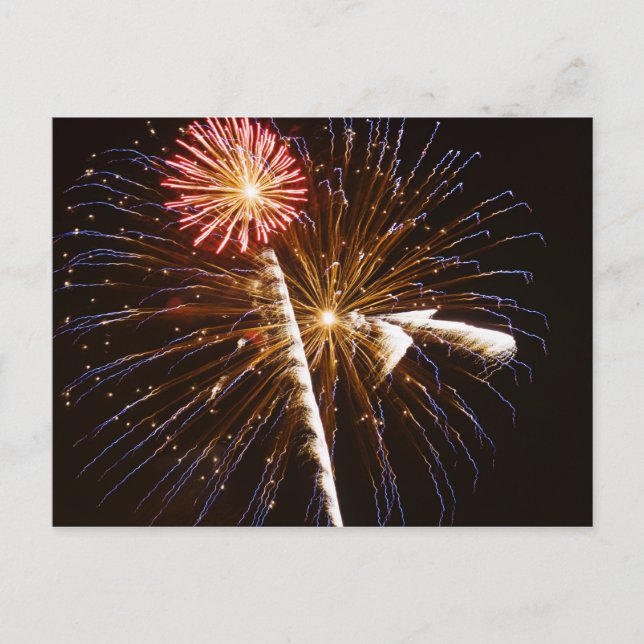 Carte Postale Feu d'artifice sur la rivière Savannah (Devant)