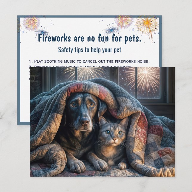 Carte Postale Feu d'observation de chiens et de chats effrayés (Devant / Derrière)