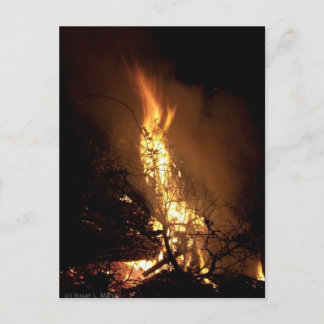 Carte Postale Feu feu homme forme feu feu image feu