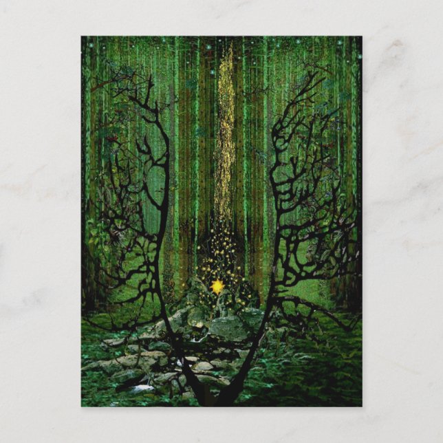 Carte Postale Feu sauvage : Prière pour les forêts (Devant)