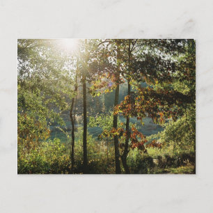 Carte Postale Feuillage d'automne