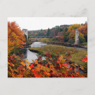 Carte Postale Feuillage d'automne