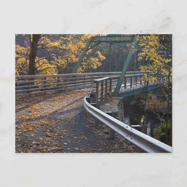 Carte Postale Feuillage d'automne et pont au-dessus des Millers (Devant)
