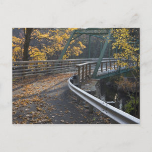 Carte Postale Feuillage d'automne et un pont sur les Millers