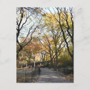 Carte Postale Feuillage d'automne Feuilles d'automne Nature Arbr