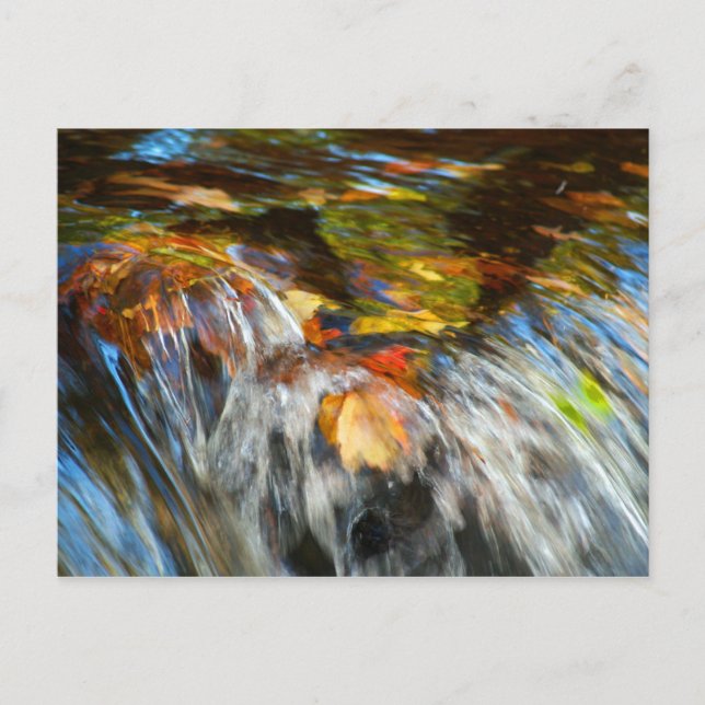Carte postale Feuille de chute d'eau (Devant)