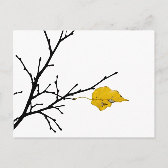 Carte Postale Feuille de citronnier jaune (Devant)