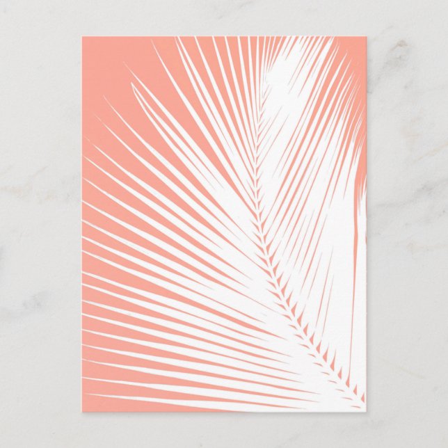 Carte Postale Feuille de palme - blanc sur corail rose (Devant)