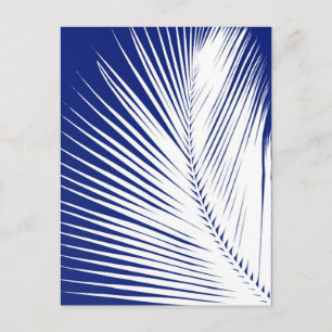 Carte Postale Feuille de palme - bleu marine et blanc