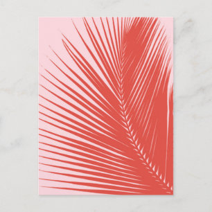 Carte Postale Feuille de palme - Corail et coquille rose