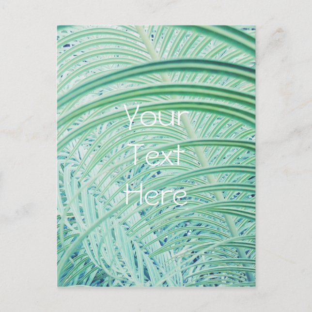Carte Postale Feuille de palme Plante verte douce (Devant)