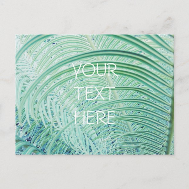 Carte Postale Feuille de palme Plante verte douce (Devant)
