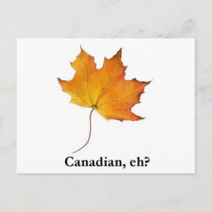 Carte Postale Feuille d'érable canadienne