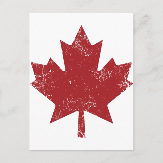 Carte Postale Feuille d'érable canadienne (en détresse) (Devant)