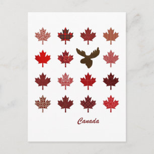 Carte postale Feuille d'érable du Canada et origna