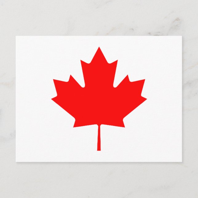Carte Postale Feuille d'érable RedTransp les cadeaux de Zazzle (Devant)