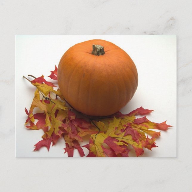 Carte Postale Feuille Et Citrouille (Devant)