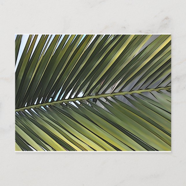 Carte postale Feuille Palm Tree (Devant)