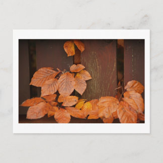 Carte postale Feuille rouge