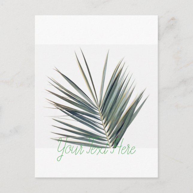 Carte Postale Feuille vert pâle (Devant)