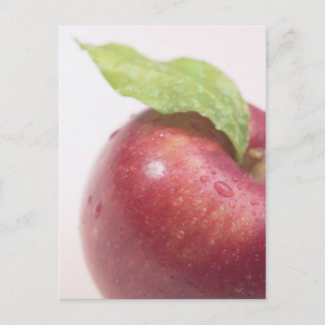 Carte Postale Feuille verte rouge Apple (Devant)