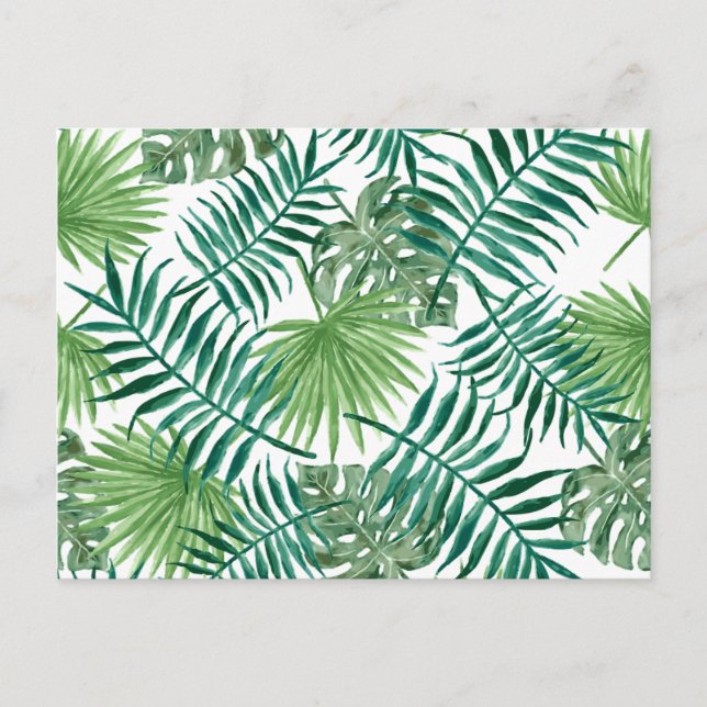 Carte postale Feuille verte tropicale (Devant)