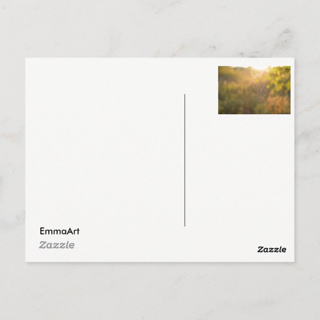 Carte Postale Feuilles à Sunset (Dos)