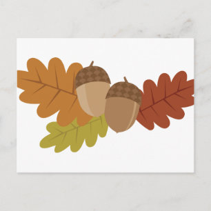 Carte Postale Feuilles Acorn