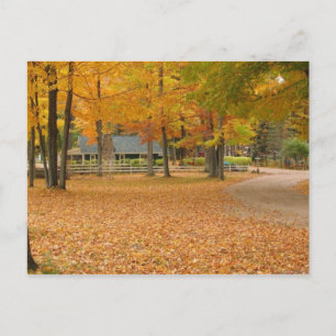 Carte Postale Feuilles automnales