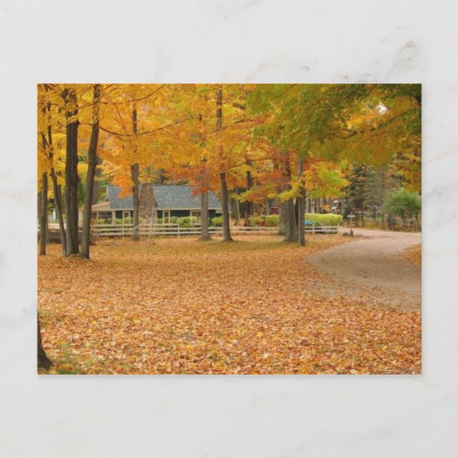 Carte Postale Feuilles automnales (Devant)