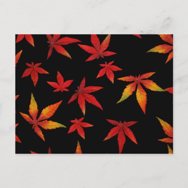 Carte postale Feuilles Automne (Devant)