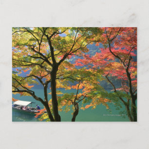 Carte Postale Feuilles colorées