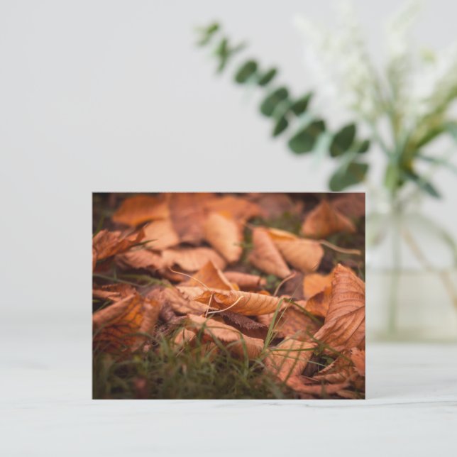 Carte Postale Feuilles d'automne (Debout devant)