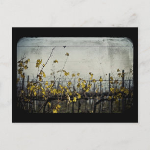 Carte Postale Feuilles d'automne