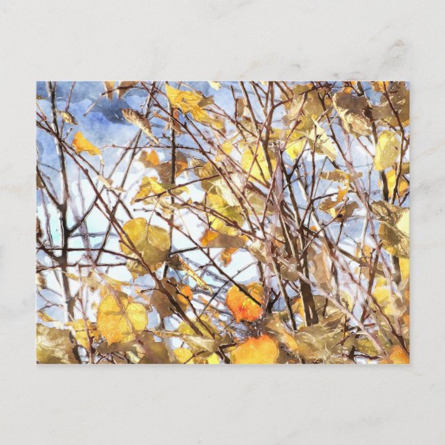 Carte Postale Feuilles d'automne (Devant)