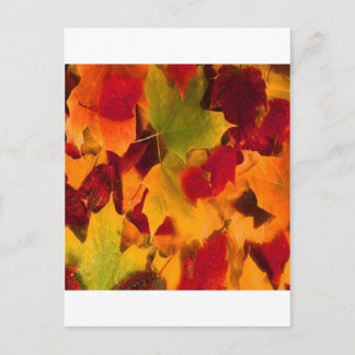 CARTE POSTALE FEUILLES D'AUTOMNE
