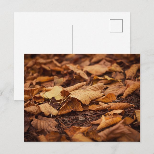 Carte Postale Feuilles d'automne (Devant / Derrière)