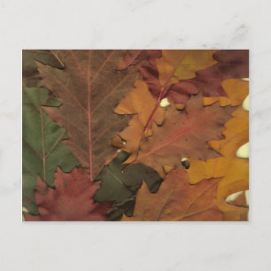 Carte Postale Feuilles d'automne