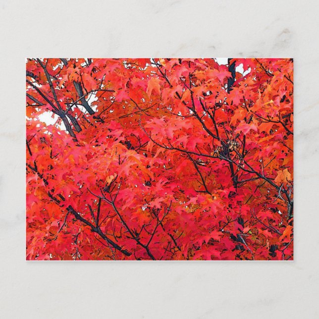 Carte Postale Feuilles d'automne (Devant)
