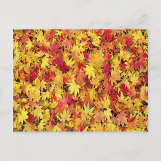 CARTE POSTALE FEUILLES D'AUTOMNE