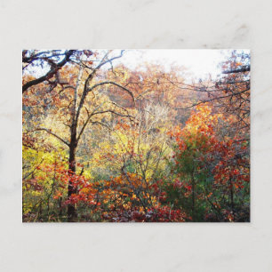 Carte Postale Feuilles d'automne au Missouri